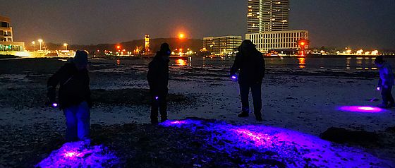 Foto: Fundstück von der Ostsee